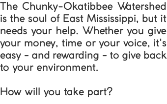 The Chunky-Okatibbee Watershed is the soul of East Mississippi, but it needs your help. Whether you give your money, time or your voice, it's easy - and rewarding - to give back to your environment. How will you take part?