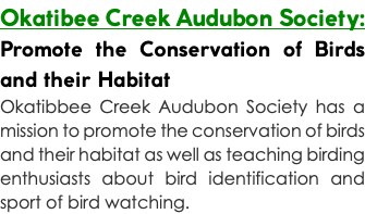 Okatibee Creek Audubon Society: Promote the Conservation of Birds and their Habitat Okatibbee Creek Audubon Society has a mission to promote the conservation of birds and their habitat as well as teaching birding enthusiasts about bird identification and sport of bird watching.