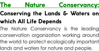 The Nature Conservancy: Conserving the Lands & Waters on which All Life Depends The Nature Conservancy is the leading conservation organization working around the world to protect ecologically important lands and waters for nature and people.