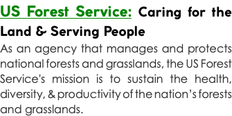 US Forest Service: Caring for the Land & Serving People As an agency that manages and protects national forests and grasslands, the US Forest Service's mission is to sustain the health, diversity, & productivity of the nation’s forests and grasslands.
